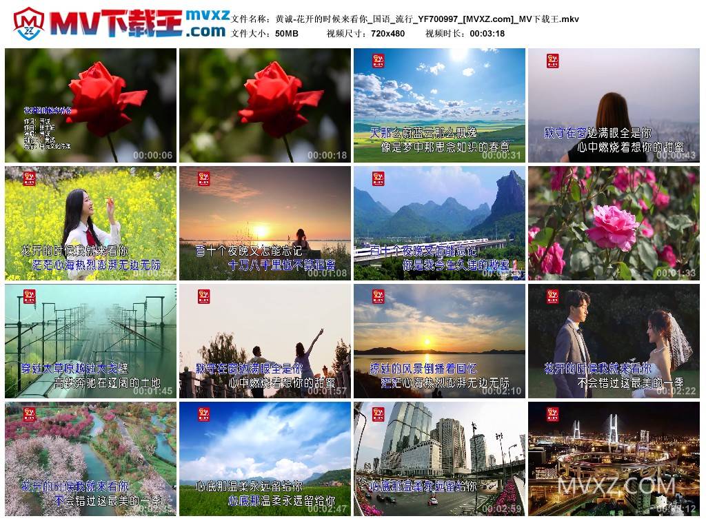 黄诚-花开的时候来看你_国语_流行_YF700997